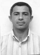 Amarildo