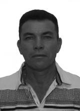 Ivo