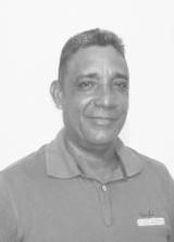 Coelho Pedra
