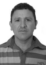 Ribinha da Palmeira