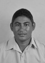 Camarão