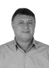 Nelson Pavimat
