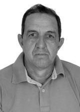 Zé da Viola
