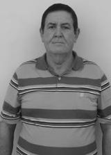 Teixerinha
