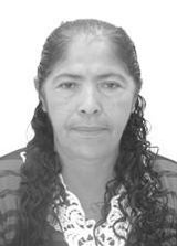 Lourdes do Areal