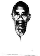 Joao Andorinha