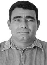 Robertão