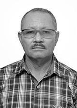 Galego Prateado