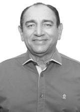 Manoel da Lenha