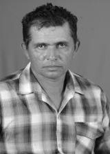 Ze Nogueira