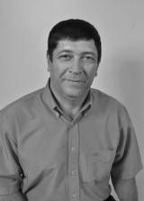 Wilson Tapeceiro