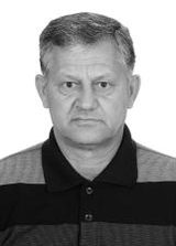 Alcides Pelota
