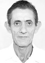 Zé Lebre