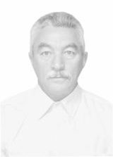 Roque do Amaral