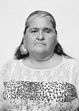 Zelita Pelota