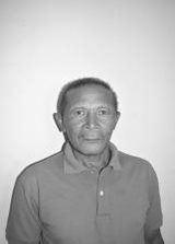 Ameirão