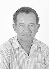Ivo