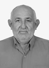 Luisão