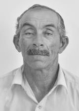 Tico Bajal