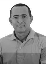 Paulinho da Garagem