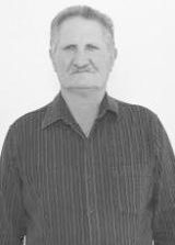 Denis Bridi