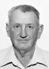 Valdemar Rovani