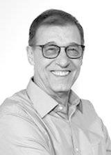 Alcides Vicini
