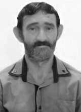Bin Laden