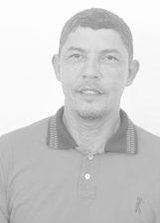 Zé Martins