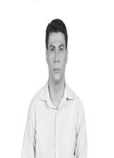 Dorival Borelli