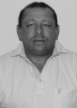 Bita