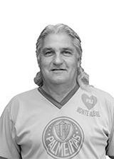 Reinaldo Palmeirense