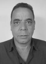 Bicudo
