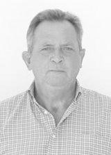Robertão