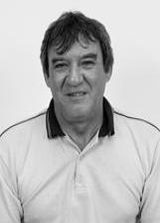 Amarilio Motorista (Galo)
