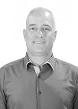 Robertão