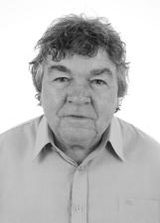 Valdir Arenghi