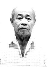 Zé Ferreira