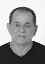 Professor Guto