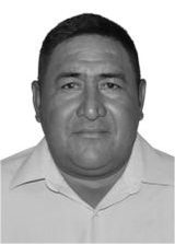 Nego Zebu