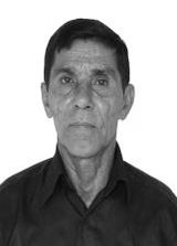 Ribinha