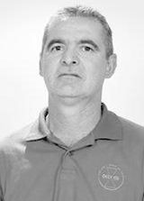 Elson Professor
