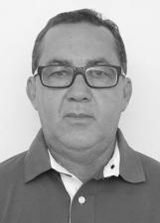 Ninho de Vivi