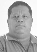 Ninho de Luci