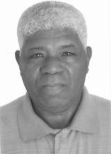 Tonhe das Velhinhas
