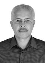 Professor Seles