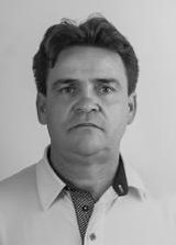 Pedro da Kombi