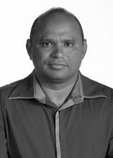 Neguim Madeireiro