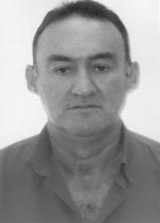 Divino Marimbondo