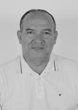 Irmão Ari
